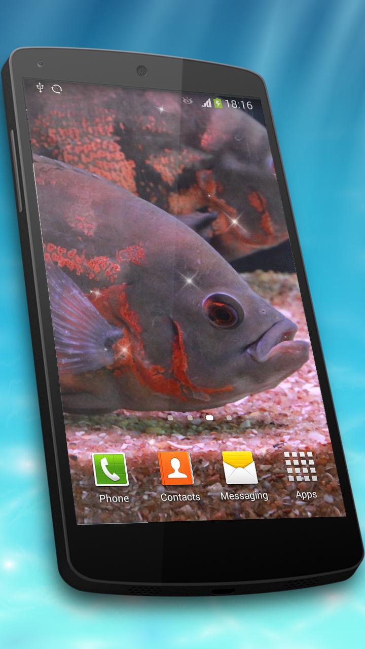 Aquarium Live Wallpaper HD
