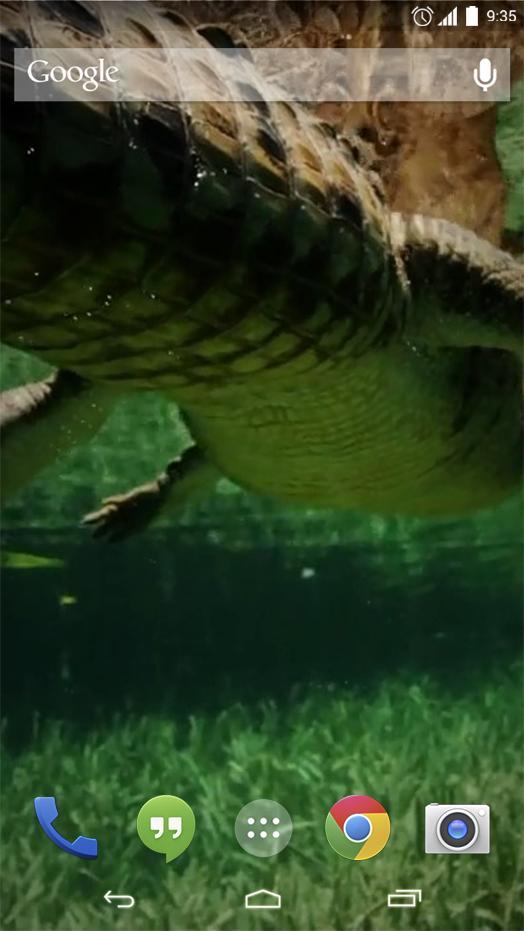 Alligator Live Wallpaper