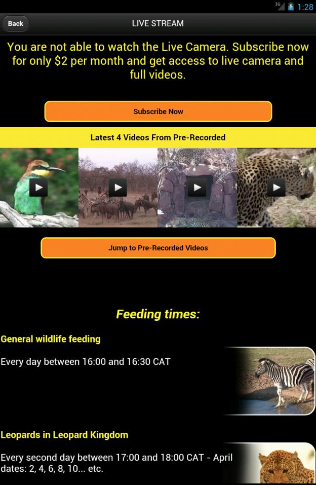 Leopard TV