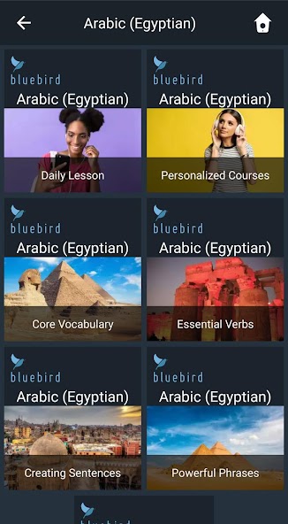 Learn Egyptian Arabic. Speak E