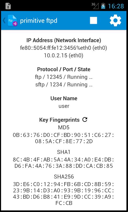 Primitive FTPd