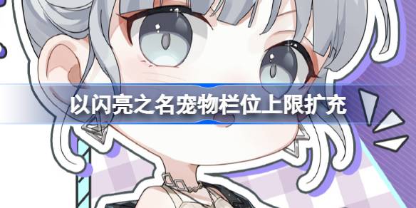 輝くという名の拡張ペットスペース制限