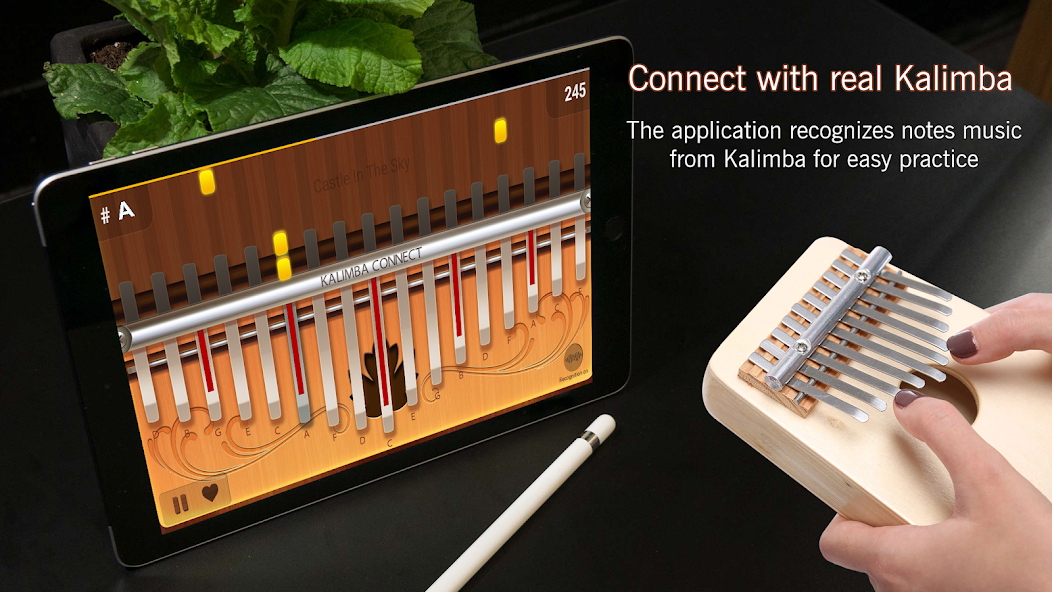Kalimba Connect