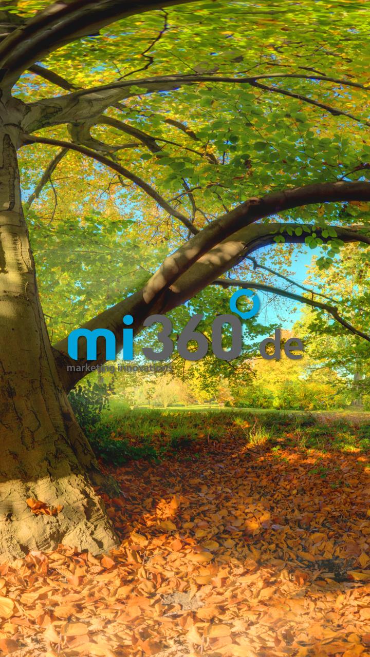 mi360