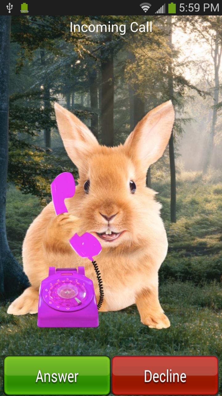 Bunny Call