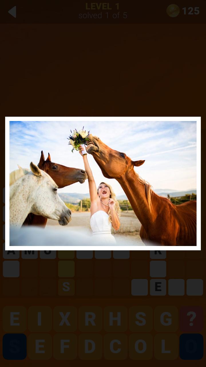 135 Photo Crosswords